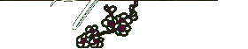 spirit flower